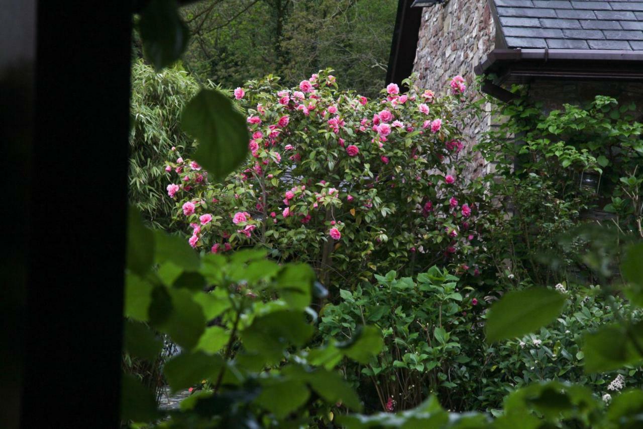 Ty Carreg Fach Staycation Cottage Cardiff Exterior photo